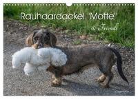 Rauhaardackel Motte & Friends (Wandkalender 2026 DIN A3 quer), CALVENDO Monatskalender