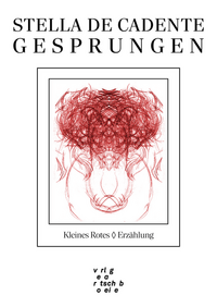Vorderes Coverbild Gesprungen