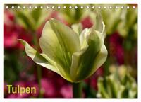 Vorderes Coverbild Tulpen (Tischkalender 2025 DIN A5 quer), CALVENDO Monatskalender