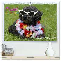 Pudel en vogue - Terminplaner (hochwertiger Premium Wandkalender 2025 DIN A2 quer), Kunstdruck in Hochglanz