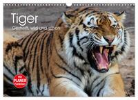 Tiger. Gestreift, wild und schön (Wandkalender 2026 DIN A3 quer), CALVENDO Monatskalender