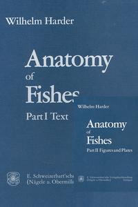 Anatomy of Fishes