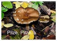 Pilze, Pilze (Wandkalender 2025 DIN A3 quer), CALVENDO Monatskalender
