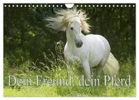 Vorderes Coverbild Dein Freund, dein Pferd (Wandkalender 2026 DIN A4 quer), CALVENDO Monatskalender