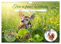 Tiere in freier Wildbahn by VogtArt (Wandkalender 2025 DIN A4 quer), CALVENDO Monatskalender