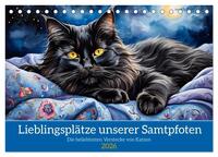 Lieblingsplätze unserer Samtpfoten (Tischkalender 2026 DIN A5 quer), CALVENDO Monatskalender