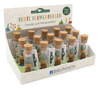 Display - Saatvogel Bunter Gruß