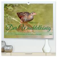Der Wachtelkönig (hochwertiger Premium Wandkalender 2026 DIN A2 quer), Kunstdruck in Hochglanz