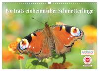 GEOclick Lernkalender: Porträts einheimischer Schmetterlinge (Wandkalender 2026 DIN A3 quer), CALVENDO Monatskalender
