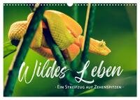 Wildes Leben - Ein Streifzug auf Zehenspitzen (Wandkalender 2026 DIN A3 quer), CALVENDO Monatskalender
