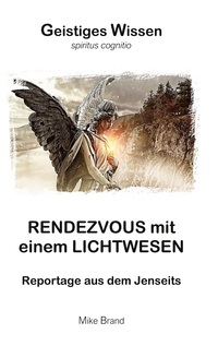 Vorderes Coverbild Rendezvous mit einem Lichtwesen