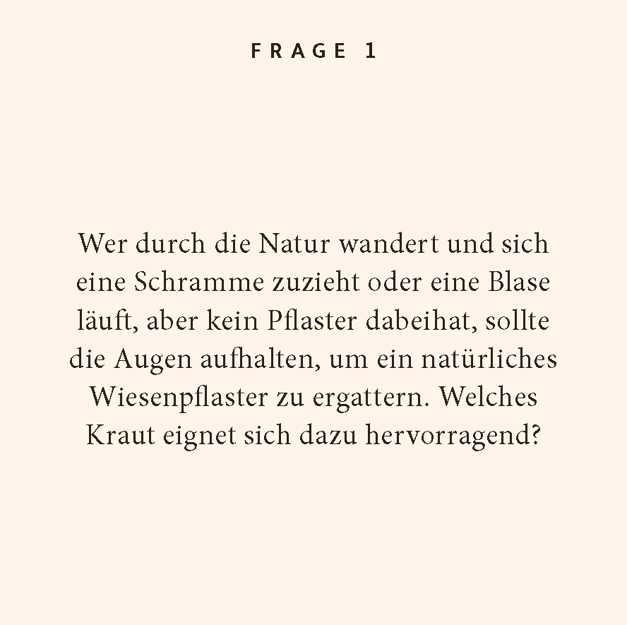 Beispielinhalt (Bild) Kräuter-Quiz