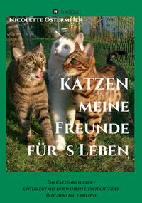 KATZEN - meine Freunde für's Leben