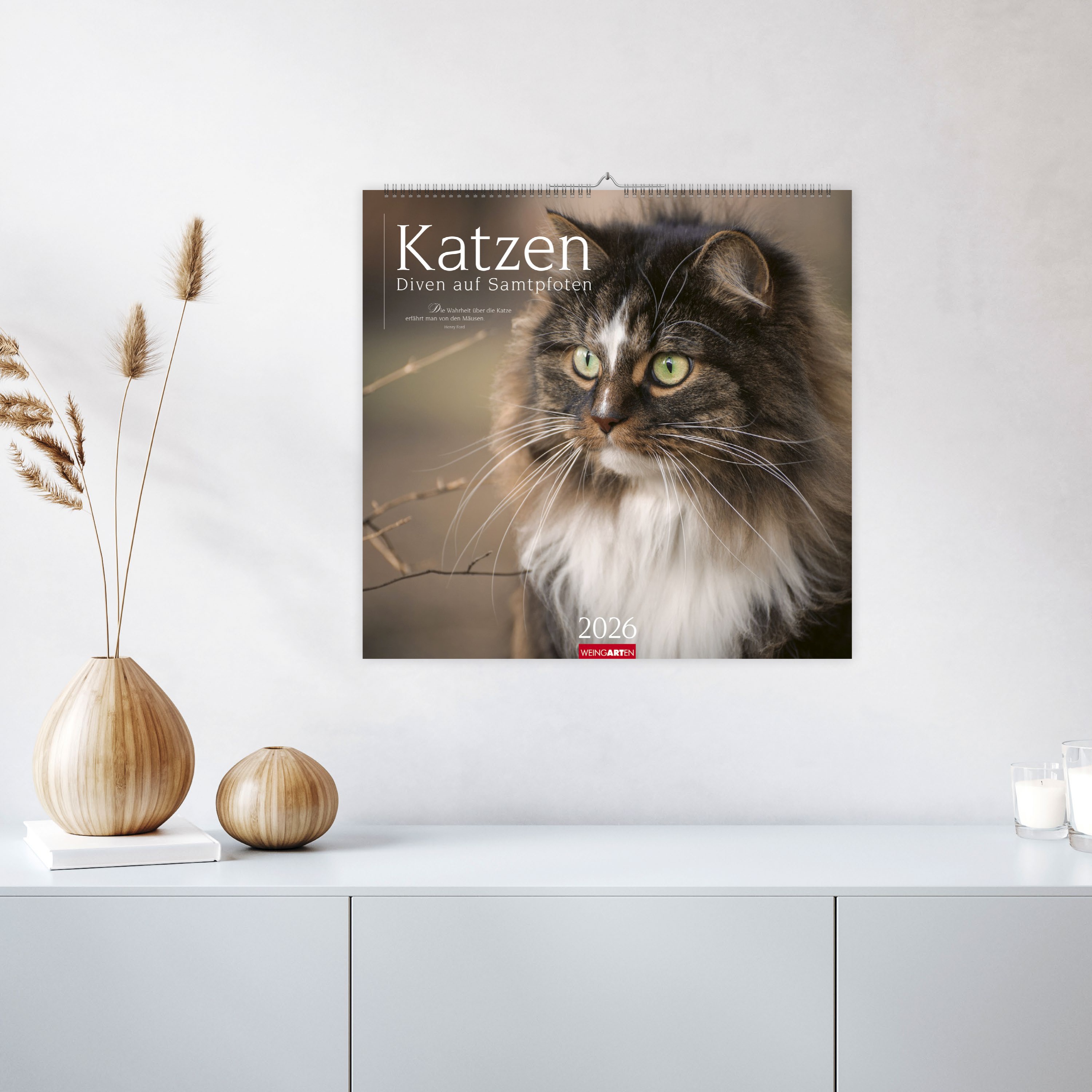 Katzen - Diven auf Samtpfoten Kalender 2026