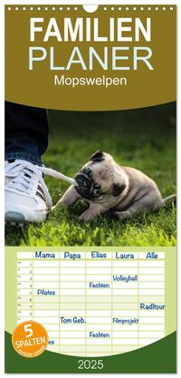 Familienplaner 2025 - Mopswelpen mit 5 Spalten (Wandkalender, 21 x 45 cm) CALVENDO