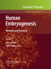 Vorderes Coverbild Human Embryogenesis