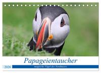 Papageientaucher 2026 - Magische Vögel des Nordmeers (Tischkalender 2026 DIN A5 quer), CALVENDO Monatskalender