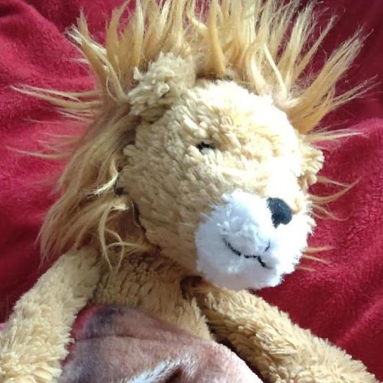 Bild des Mitwirkenden Darf Ich Dir Leo vorstellen