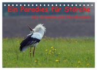 Vorderes Coverbild Ein Paradies für Störche (Tischkalender 2025 DIN A5 quer), CALVENDO Monatskalender
