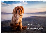 Dein Hund der treue Begleiter (Wandkalender 2026 DIN A3 quer), CALVENDO Monatskalender
