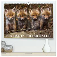 Füchse in freier Natur (hochwertiger Premium Wandkalender 2025 DIN A2 quer), Kunstdruck in Hochglanz