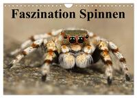 Faszination Spinnen (Wandkalender 2026 DIN A4 quer), CALVENDO Monatskalender
