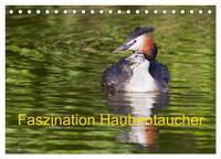 Faszination Haubentaucher (Tischkalender 2025 DIN A5 quer), CALVENDO Monatskalender