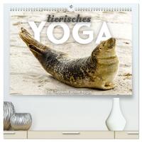 Tierisches Yoga - Eine Tierwelt voller Yogis. (hochwertiger Premium Wandkalender 2025 DIN A2 quer), Kunstdruck in Hochglanz