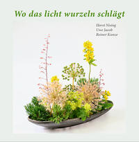 Vorderes Coverbild Wo das licht wurzeln schlägt