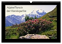 Alpine Flora in der Homöopathie (Wandkalender 2026 DIN A3 quer), CALVENDO Monatskalender