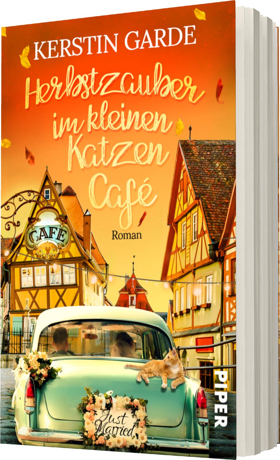 Herbstzauber im kleinen Katzen-Café