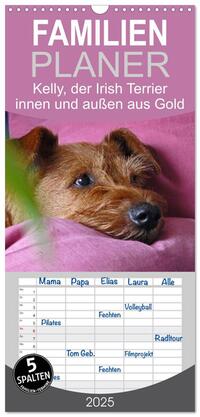 Familienplaner 2025 - Kelly, der Irish Terrier - innen und außen aus Gold mit 5 Spalten (Wandkalender, 21 x 45 cm) CALVENDO
