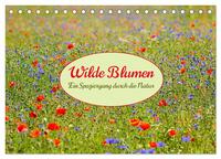 Wilde Blumen - ein Spaziergang durch die Natur (Tischkalender 2025 DIN A5 quer), CALVENDO Monatskalender