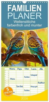 Familienplaner 2026 - Wellensittiche farbenfroh und munter mit 5 Spalten (Wandkalender, 21 x 45 cm) CALVENDO