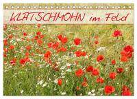 Klatschmohn im Feld (Tischkalender 2026 DIN A5 quer), CALVENDO Monatskalender