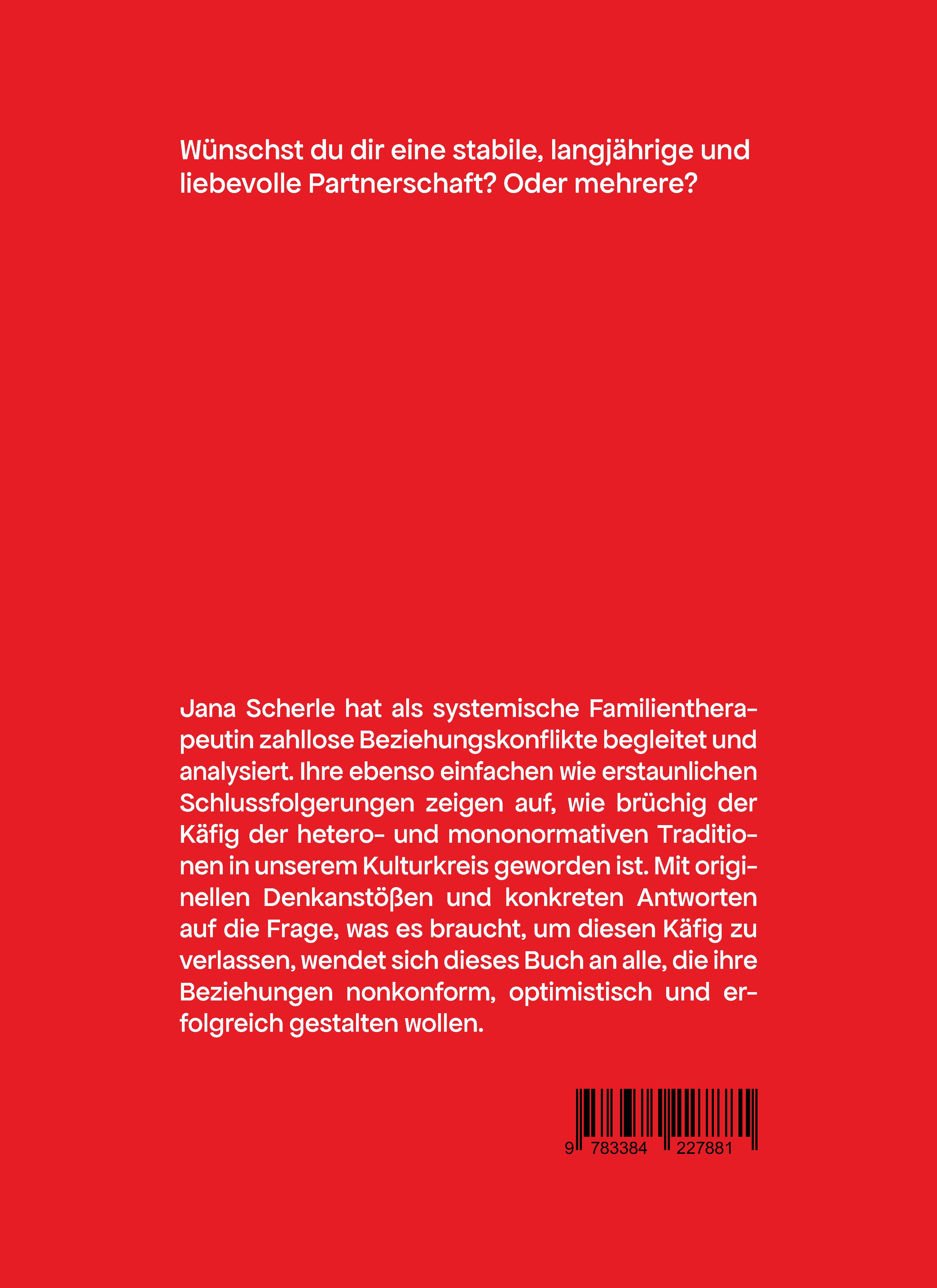 Rückseitencover Happy End