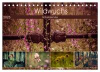 Wildwuchs 2025 (Tischkalender 2025 DIN A5 quer), CALVENDO Monatskalender
