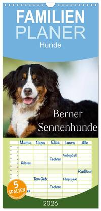 Familienplaner 2026 - Berner Sennenhunde mit 5 Spalten (Wandkalender, 21 x 45 cm) CALVENDO