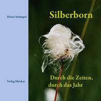 Silberborn