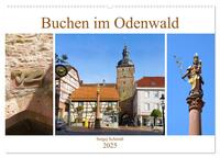 Vorderes Coverbild Buchen im Odenwald (Wandkalender 2025 DIN A2 quer), CALVENDO Monatskalender