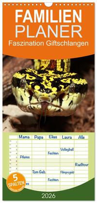 Familienplaner 2026 - Faszination Giftschlangen mit 5 Spalten (Wandkalender, 21 x 45 cm) CALVENDO