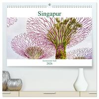 Singapur - faszinierende Stadt (hochwertiger Premium Wandkalender 2026 DIN A2 quer), Kunstdruck in Hochglanz