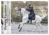 Vorderes Coverbild Working Equitation (Wandkalender 2026 DIN A4 quer), CALVENDO Monatskalender