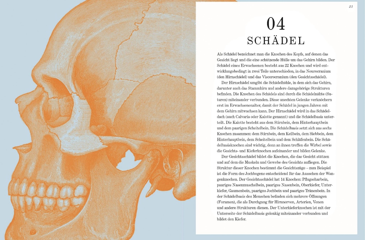 Beispielinhalt (Bild) GRAY’S ANATOMIE RÄTSELBUCH