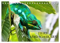 Tiere Madagaskars (Tischkalender 2025 DIN A5 quer), CALVENDO Monatskalender