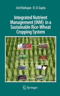 Integrated Nutrient Management (INM) in a Sustainable Rice-Wheat Cropping System