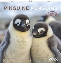 Pinguine 2026 - Broschürenkalender 30x30 cm (30x60 geöffnet) - Kalender mit Platz für Notizen - Penguins - Bildkalender - Wandplaner - Wandkalender