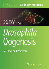 Drosophila Oogenesis