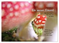 Ein weiser Freund - Kalender (Wandkalender 2025 DIN A3 quer), CALVENDO Monatskalender