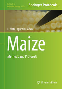 Vorderes Coverbild Maize